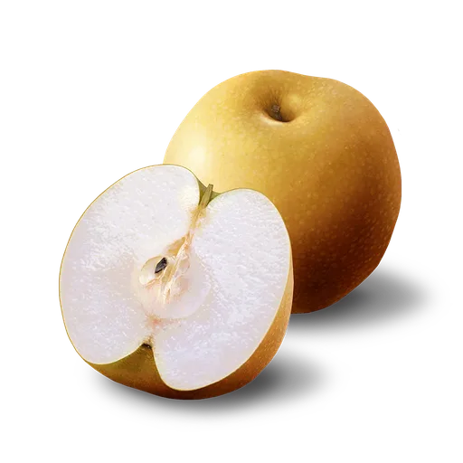 Nashi Pear