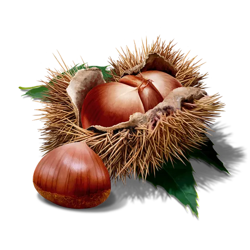 Chestnuts