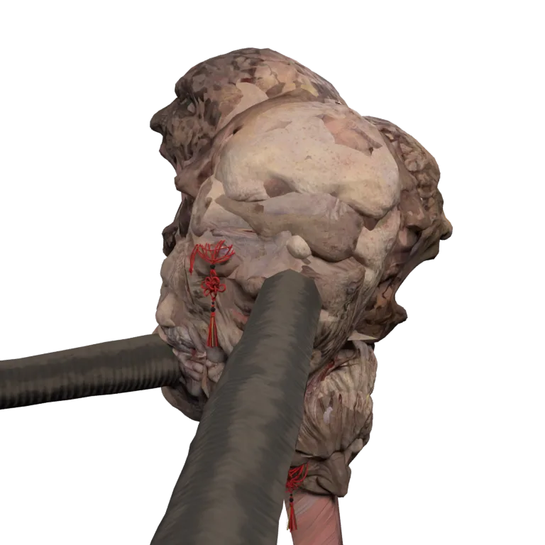 Chijiko
